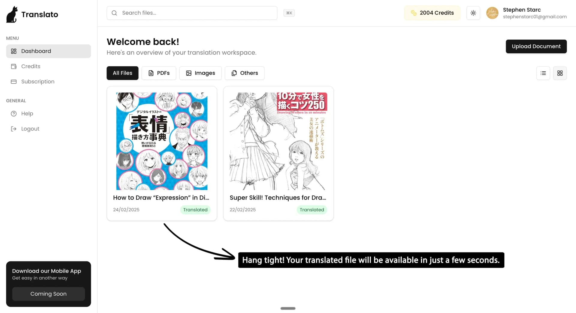 Translation View Interface