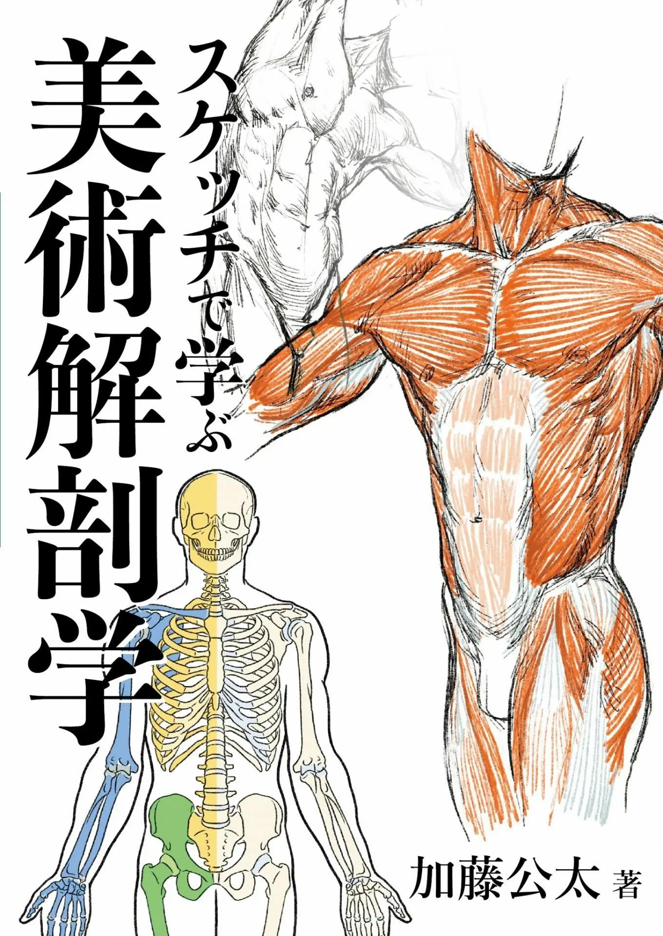 Art Anatomy Learned From Sketches